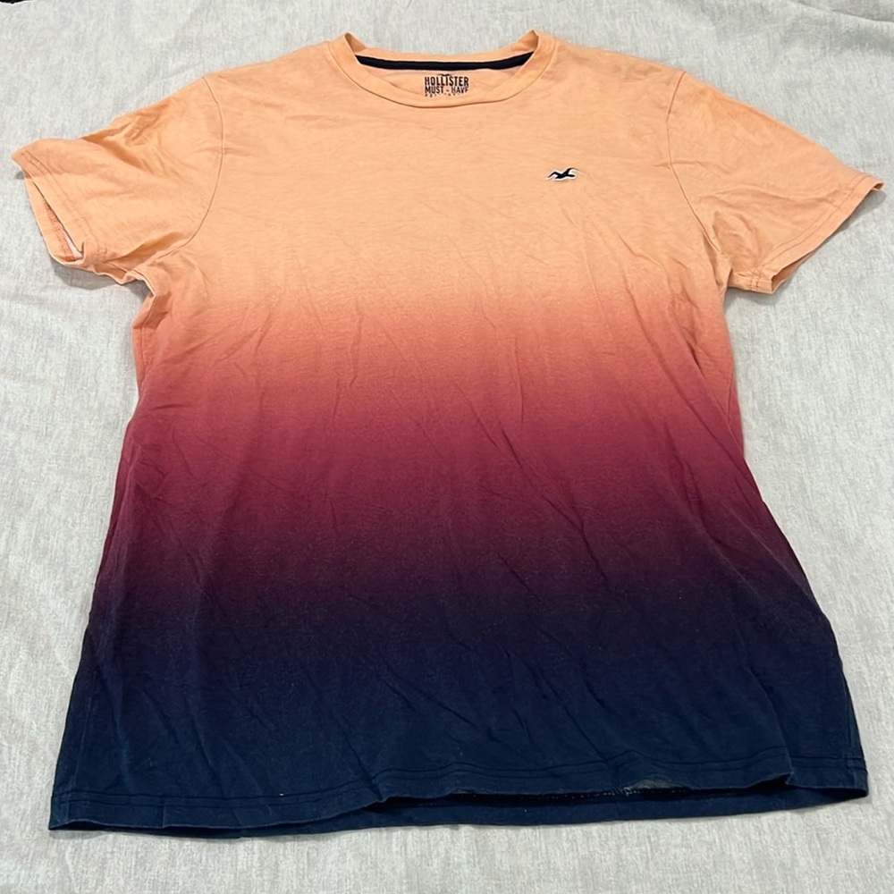 Hollister Must-Have Collection gradiant t-shirt, large